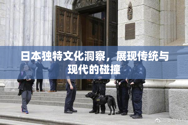 日本独特文化洞察，展现传统与现代的碰撞