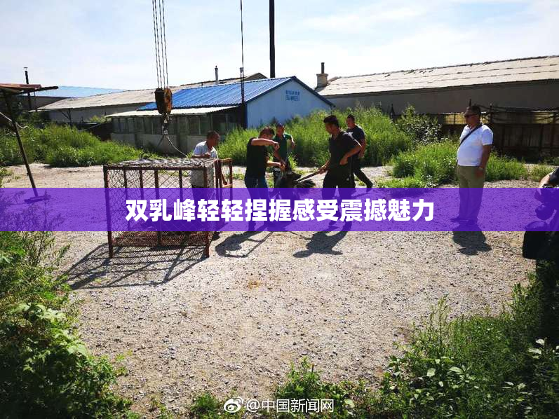 双乳峰轻轻捏握感受震撼魅力