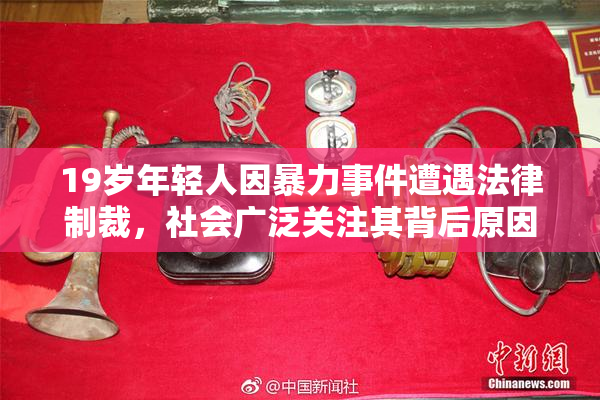19岁年轻人因暴力事件遭遇法律制裁，社会广泛关注其背后原因