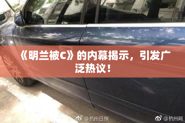 《明兰被C》的内幕揭示，引发广泛热议！