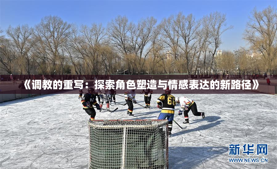 《调教的重写：探索角色塑造与情感表达的新路径》