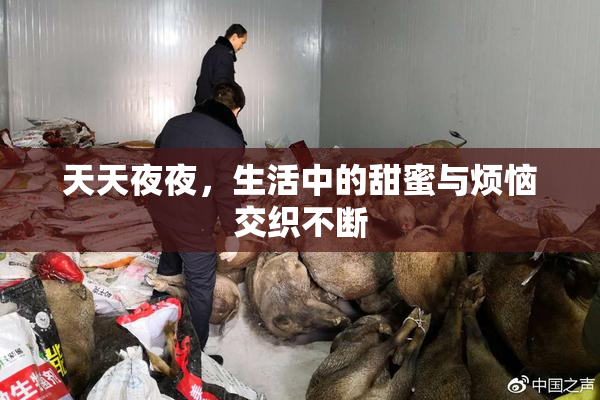 天天夜夜，生活中的甜蜜与烦恼交织不断