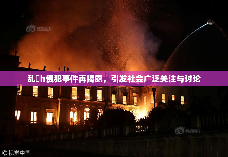 乱婬h侵犯事件再揭露，引发社会广泛关注与讨论