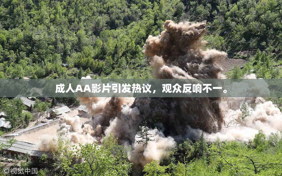 成人AA影片引发热议，观众反响不一。