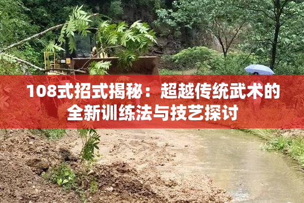 108式招式揭秘：超越传统武术的全新训练法与技艺探讨