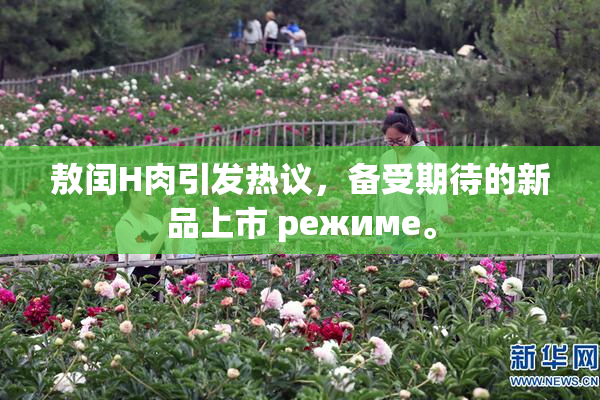敖闰H肉引发热议，备受期待的新品上市 режиме。