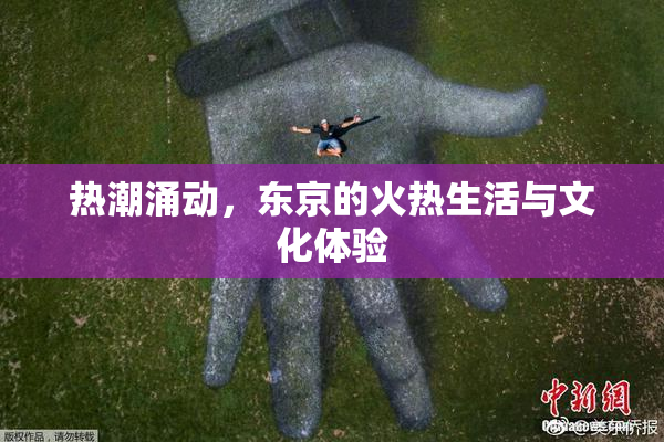 热潮涌动，东京的火热生活与文化体验