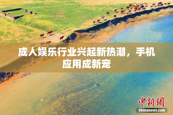 成人娱乐行业兴起新热潮，手机应用成新宠