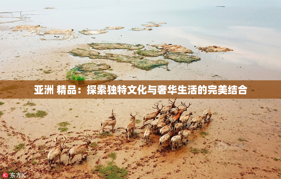 亚洲 精品：探索独特文化与奢华生活的完美结合