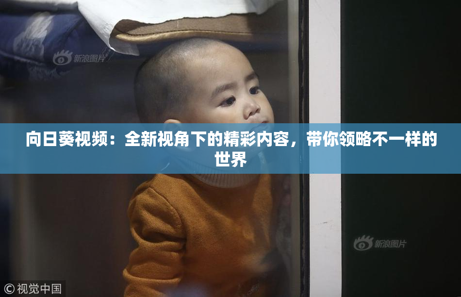 向日葵视频：全新视角下的精彩内容，带你领略不一样的世界