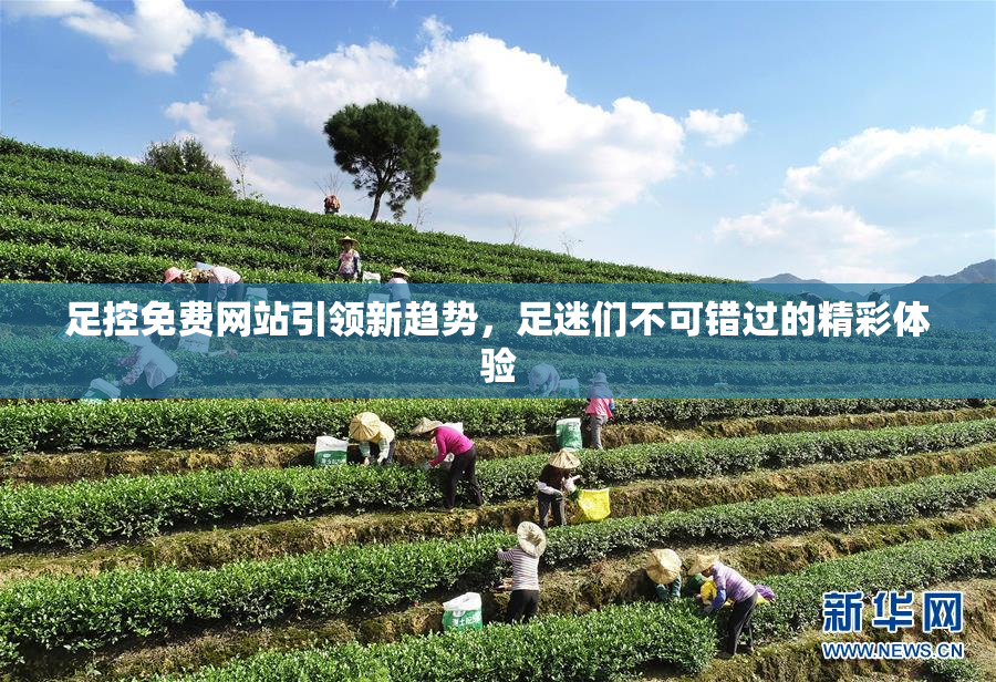 足控免费网站引领新趋势，足迷们不可错过的精彩体验