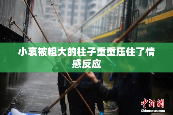 小哀被粗大的柱子重重压住了情感反应
