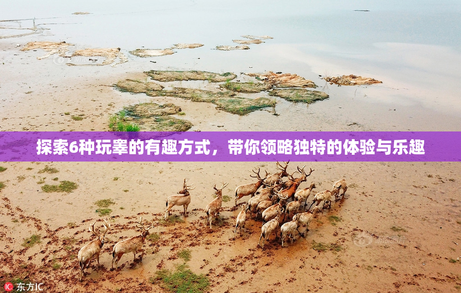 探索6种玩睾的有趣方式，带你领略独特的体验与乐趣