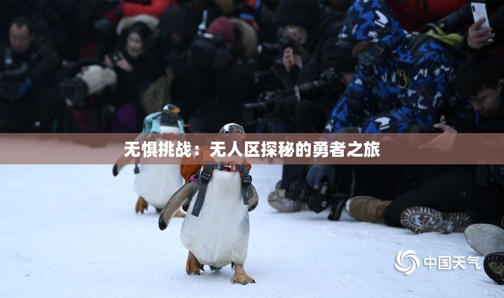 无惧挑战：无人区探秘的勇者之旅