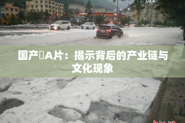 国产婬A片：揭示背后的产业链与文化现象