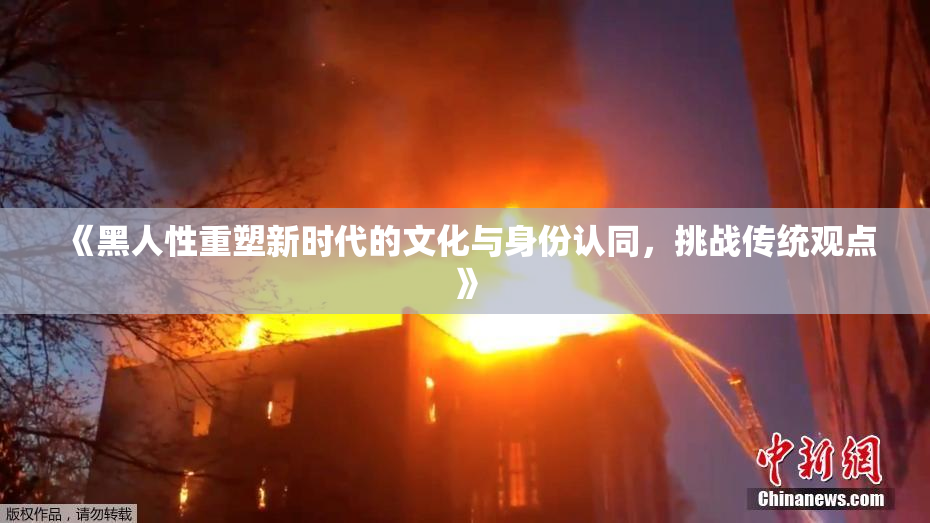 《黑人性重塑新时代的文化与身份认同，挑战传统观点》