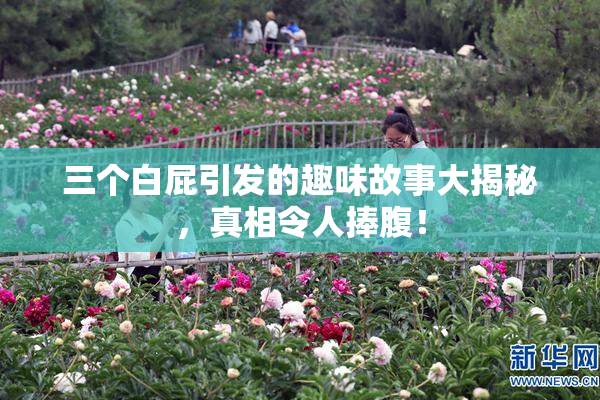 三个白屁引发的趣味故事大揭秘，真相令人捧腹！