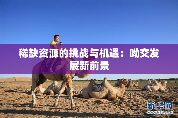 稀缺资源的挑战与机遇：呦交发展新前景