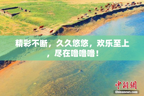 精彩不断，久久悠悠，欢乐至上，尽在噜噜噜！