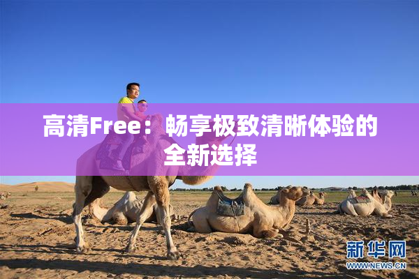 高清Free：畅享极致清晰体验的全新选择