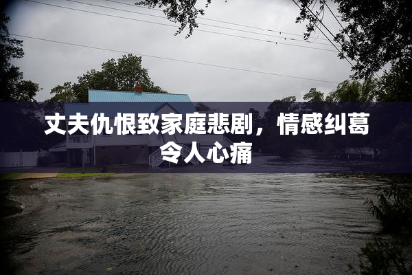 丈夫仇恨致家庭悲剧，情感纠葛令人心痛
