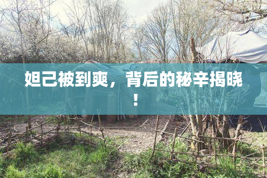 妲己被到爽，背后的秘辛揭晓！