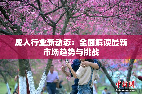 成人行业新动态：全面解读最新市场趋势与挑战
