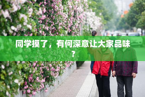 同学摸了，有何深意让大家品味？