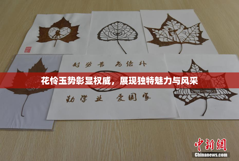 花怜玉势彰显权威，展现独特魅力与风采