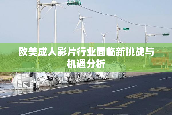 欧美成人影片行业面临新挑战与机遇分析