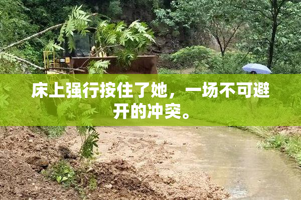 床上强行按住了她，一场不可避开的冲突。