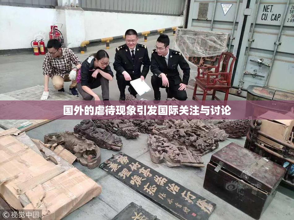 国外的虐待现象引发国际关注与讨论