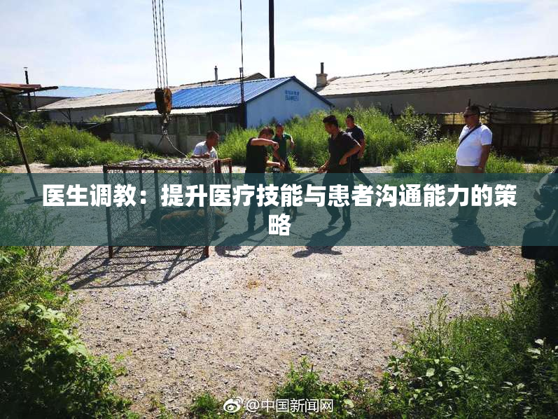 医生调教：提升医疗技能与患者沟通能力的策略