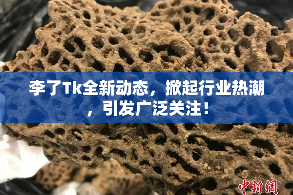 李了Tk全新动态，掀起行业热潮，引发广泛关注！