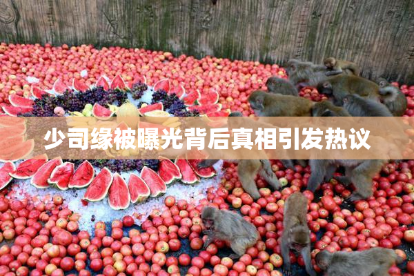 少司缘被曝光背后真相引发热议