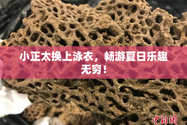 小正太换上泳衣，畅游夏日乐趣无穷！