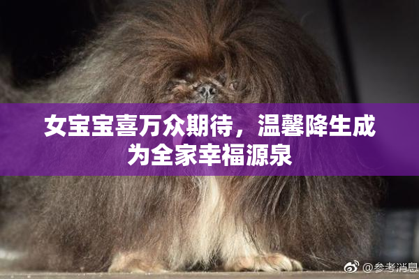 女宝宝喜万众期待，温馨降生成为全家幸福源泉