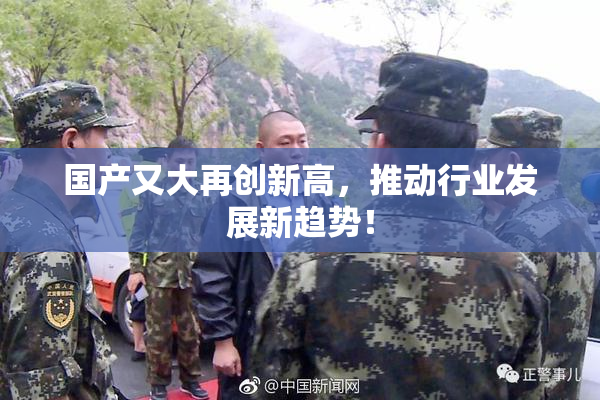 国产又大再创新高，推动行业发展新趋势！