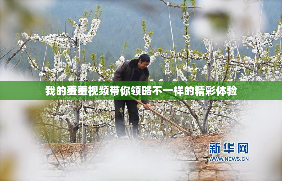 我的羞羞视频带你领略不一样的精彩体验