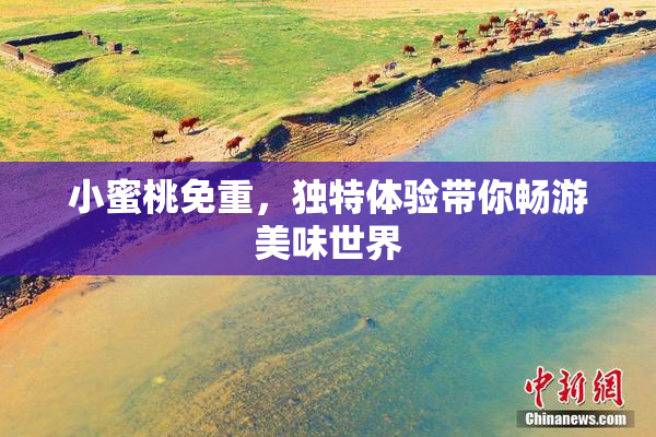 小蜜桃免重，独特体验带你畅游美味世界