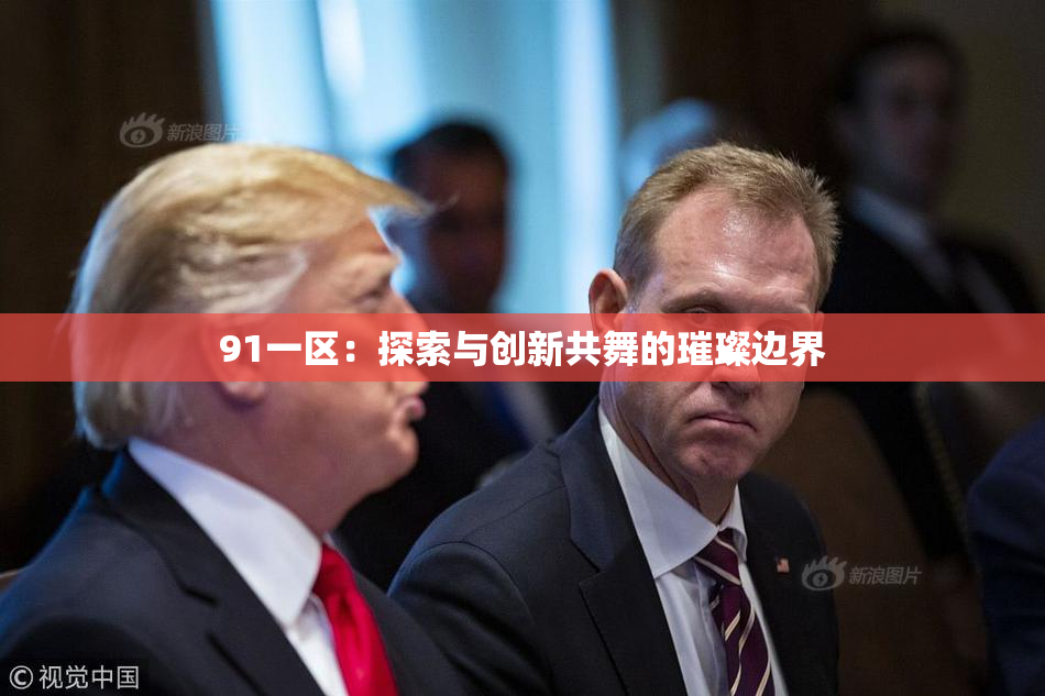 91一区：探索与创新共舞的璀璨边界