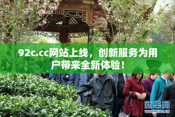 92c.cc网站上线，创新服务为用户带来全新体验！