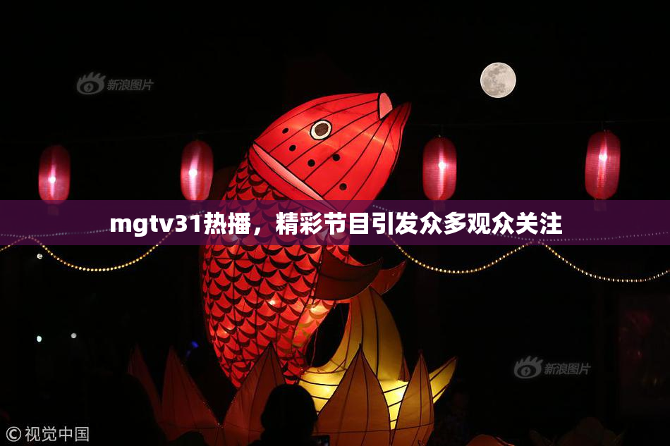 mgtv31热播，精彩节目引发众多观众关注