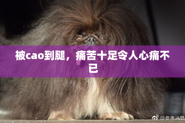 被cao到腿，痛苦十足令人心痛不已