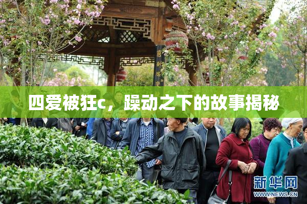 四爱被狂c，躁动之下的故事揭秘