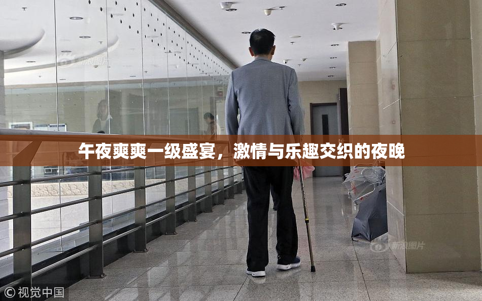午夜爽爽一级盛宴，激情与乐趣交织的夜晚