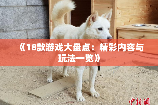 《18款游戏大盘点：精彩内容与玩法一览》