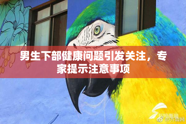 男生下部健康问题引发关注，专家提示注意事项