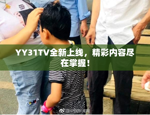 YY31TV全新上线，精彩内容尽在掌握！