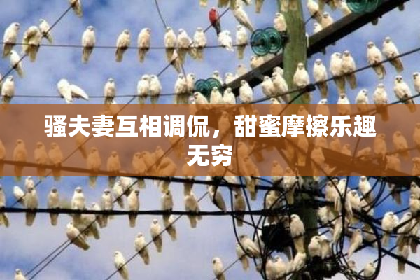 骚夫妻互相调侃，甜蜜摩擦乐趣无穷